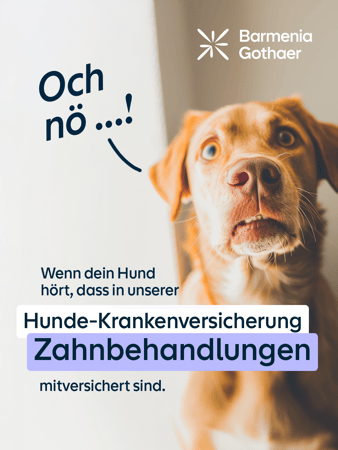 ...weil er Dich bedingungslos lieb hat!