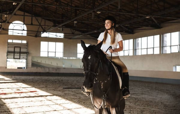 Die Barmenia Pferde OP-Versicherung für Ihr Pferd
