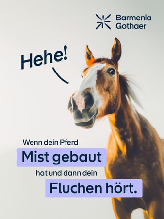 Sicher versichert im Sattel sitzen.