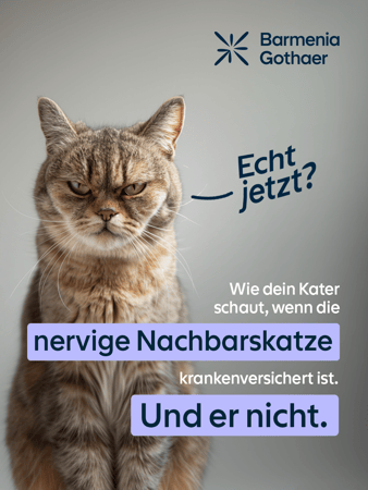 Die Mieze freut sich...