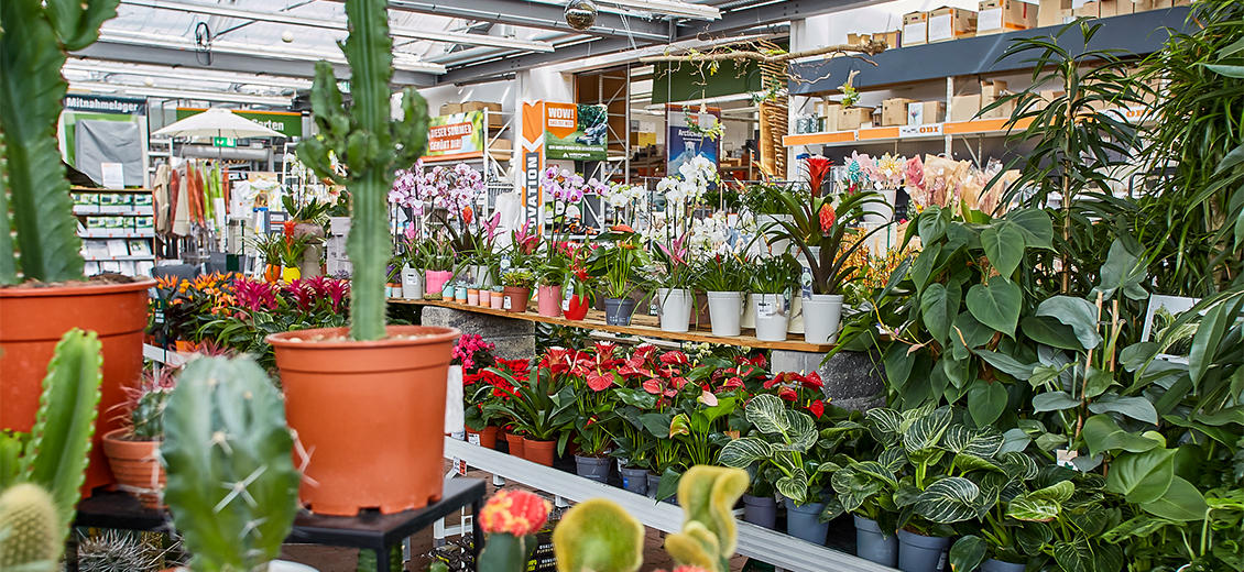 Dein OBI Markt Pocking, BürgermeisterSchönbauerStraße 8