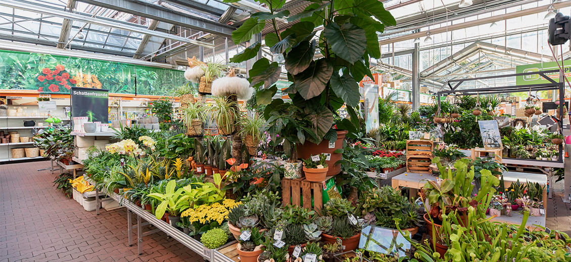 Dein OBI Markt KölnGodorf, OttoHahnStraße 68