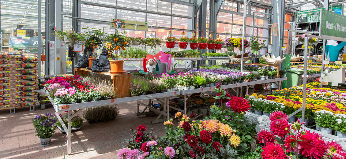 Dein OBI Markt Papenburg, Am Stadtpark 45