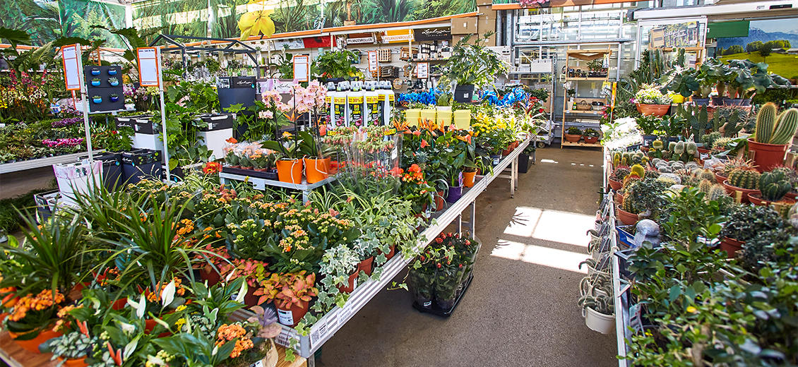 Dein OBI Markt Dachau, Fraunhofer Straße 2