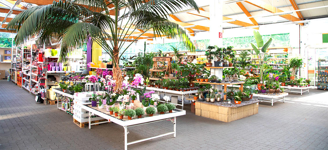 Dein OBI Markt Parchim, Friedr.Wilh.Raiffeisenring 5