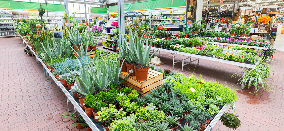 Dein OBI Markt Alfter, Alfterer Str. 3537