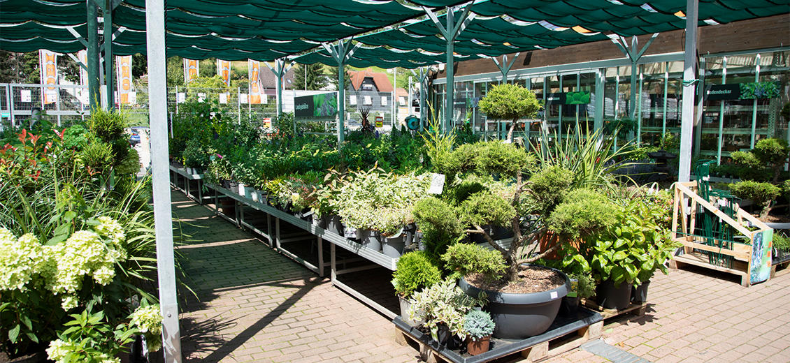 Dein OBI Markt Schleusingen, Suhler Straße 3240