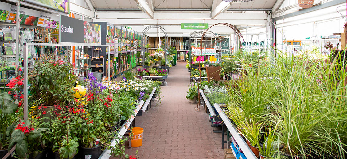 Dein OBI Markt Güstrow, Glasewitzer Chaussee 1