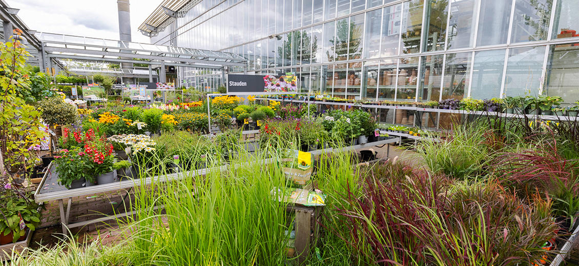 Dein OBI Markt GießenSüd, Pistorstr. 1