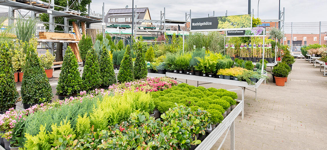 Dein OBI Markt Euskirchen, Eifelring 3842