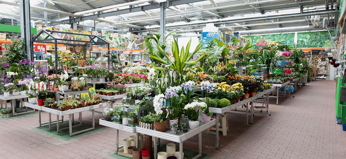 Dein OBI Markt GiengenBrenz, Riedstr. 40