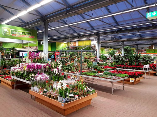 Gartencenter Warmhalle Zimmerpflanzen