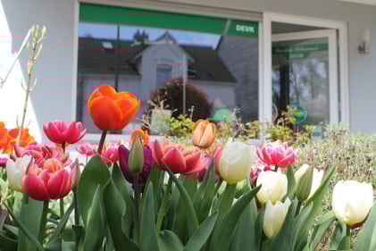 Foto von Francesco Ricotta