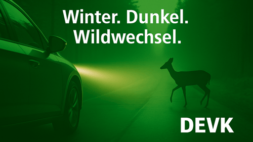 Winter. Dunkel. Wildwechsel.