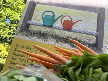 Nahaufnahme von frisch geernteten Karotten und grünem Salat im Vordergrund. Im Hintergrund ist ein Plakat mit einem hölzernen Hochbeet, einer türkisen und einer roten Gießkanne sowie Kontaktdaten der DEVK-Geschäftsstelle Sascha Budnik zu sehen.