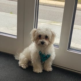 Foto der Geschäftsstelle in Sassnitz