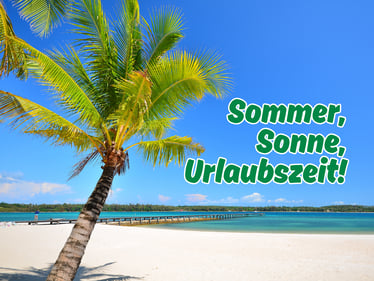 Sommer, Sonne, Urlaubszeit! Strand mit Palme.