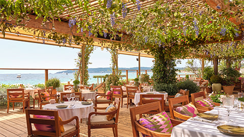 Jardin Tropezina - Saint-Tropez