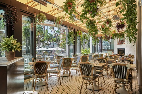 fig restaurant atrium