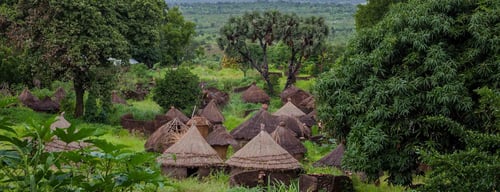 Cameroun: tous nos hôtels
