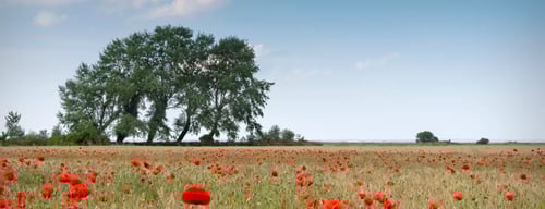 Unsere Hotels in Val De Reuil