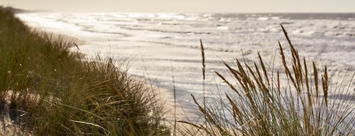 Onze hotels in PAS-DE-CALAIS