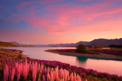 Lake Tekapo