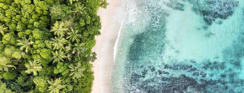 Isole Seychelles: tutti i nostri hotel