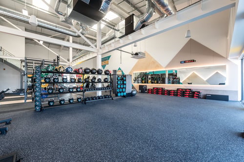 "PureGym: Diss"